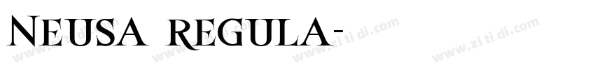 Neusa regula字体转换
